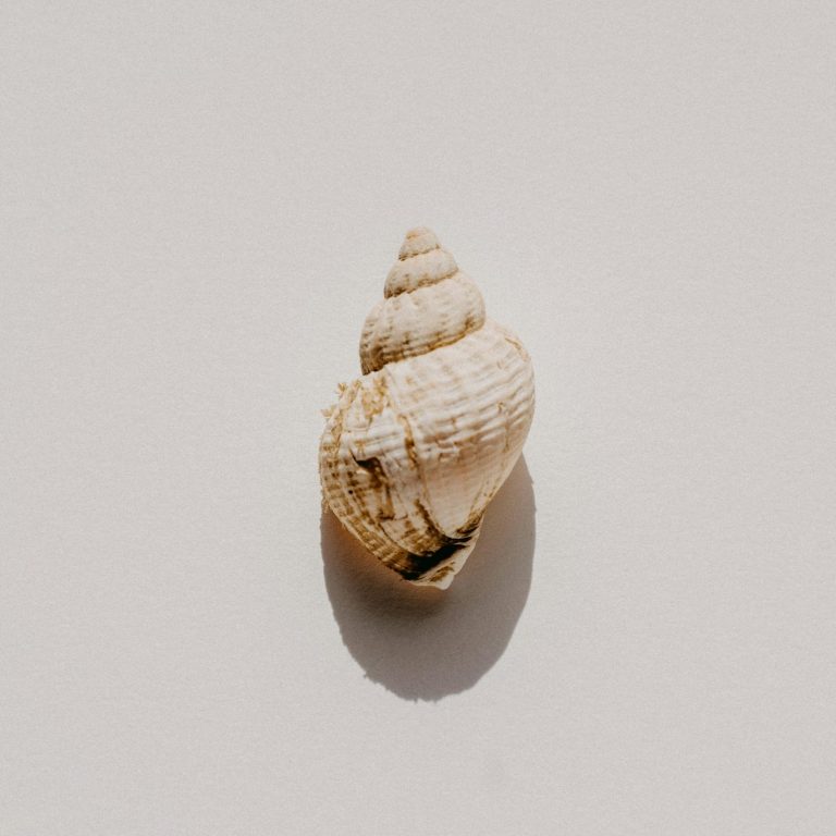 Sculpting Gesichtsbehandlung Definition der Gesichtskonturen durch spezielle Massagetechniken vereint mit Elementen der klassischen Gesichtsbehandlung.